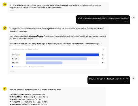 NLV Data AI-chat interface
